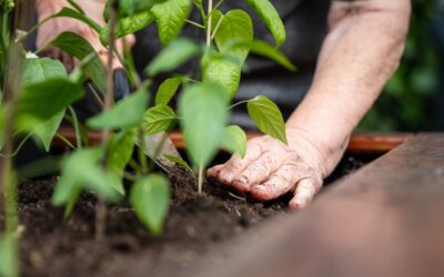 Rugklachten tijdens het werken in de tuin